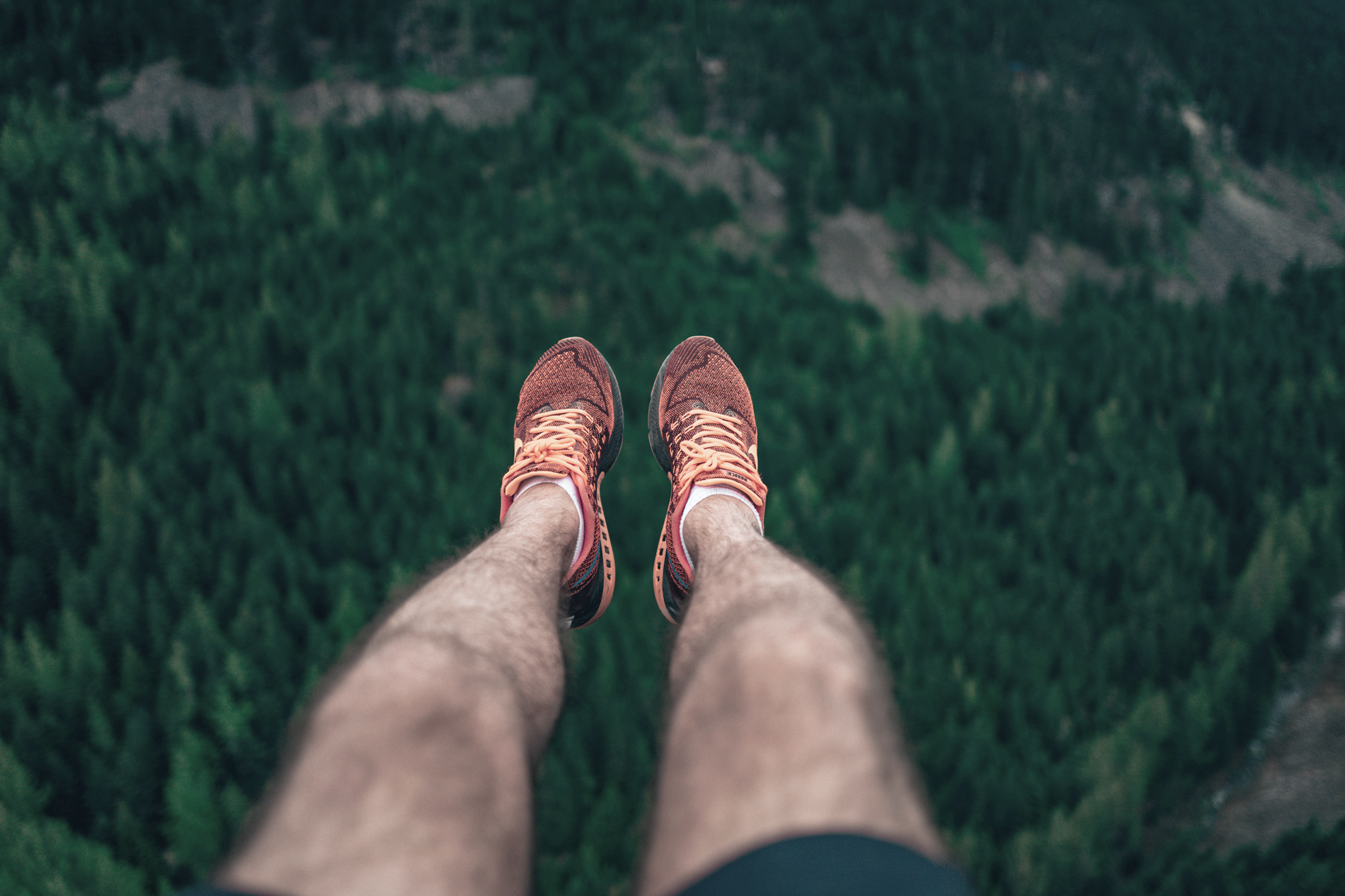 ZipTrek EcoTours