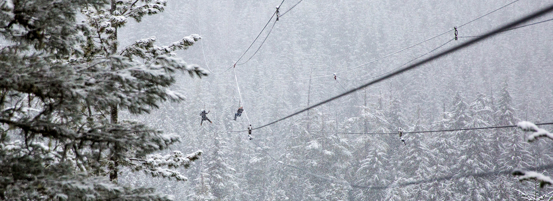 Winter Ziplining in Whistler, BC | Crystal Lodge